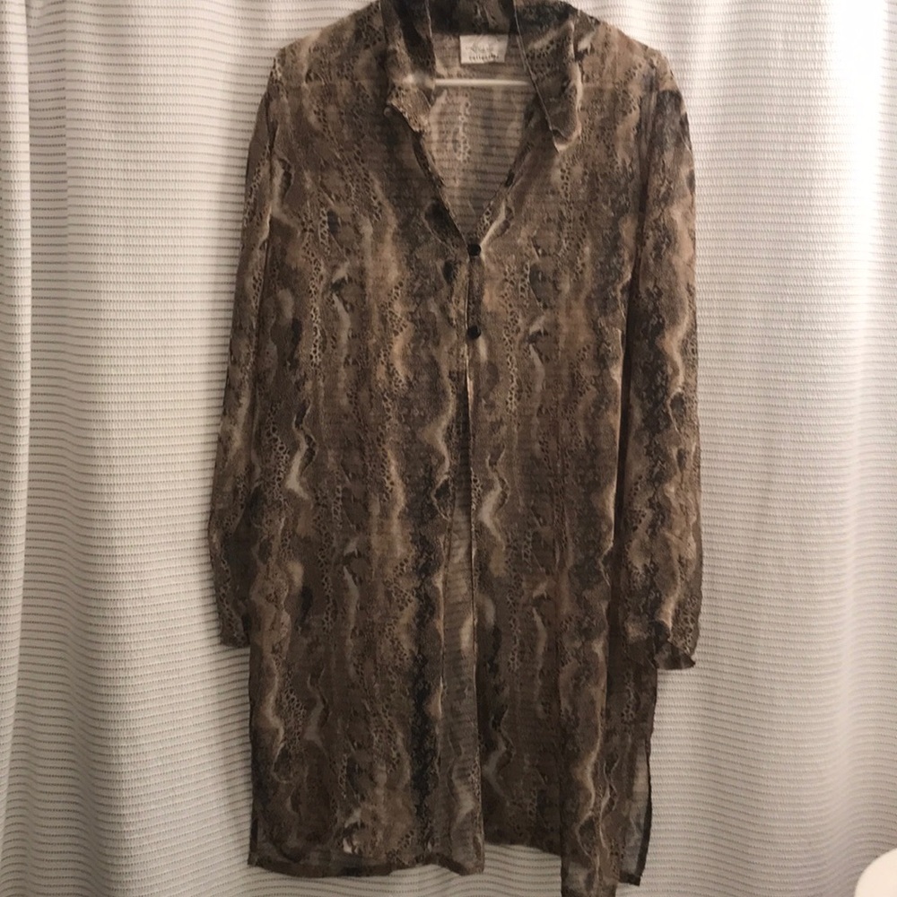 Long sheer blouse